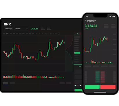 OnePay钱包官方平台功能展示